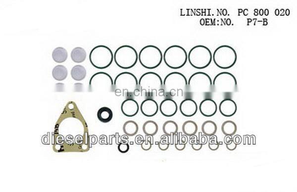 P7100 Injection Pump Repair kit, service kit, overhaul kit