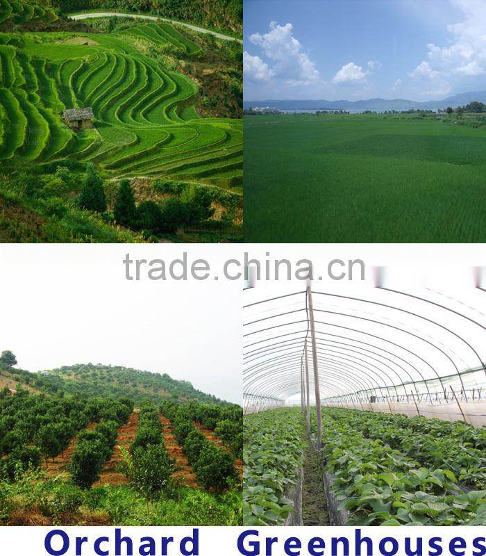 China Supplier CE 5.0HP Gasoline tiller cultivator