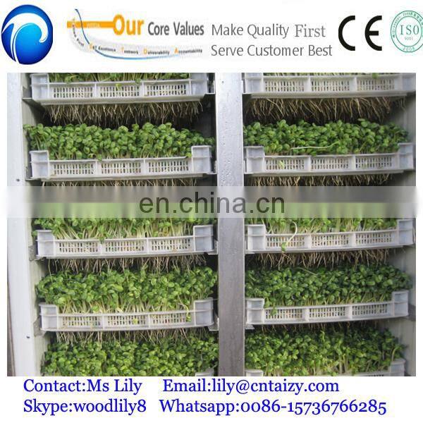 seed sprout machine barley sprout machine