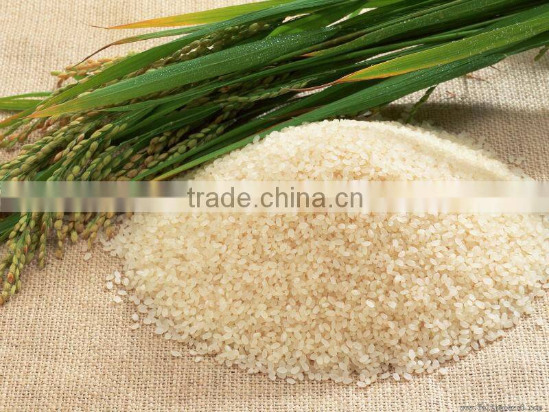 Automatic Artificial Rice Machine