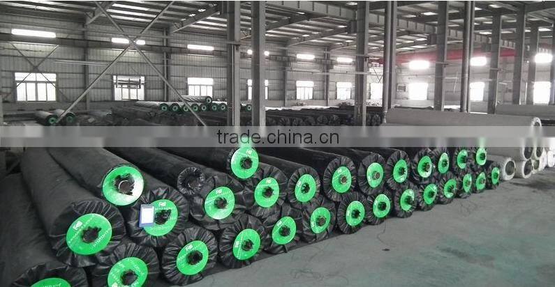 PP Woven Geotextile Factory price