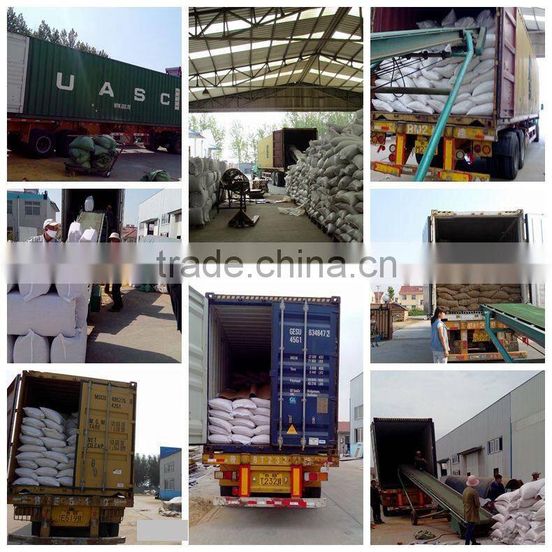 Chinese exported dry sweet paprika whole