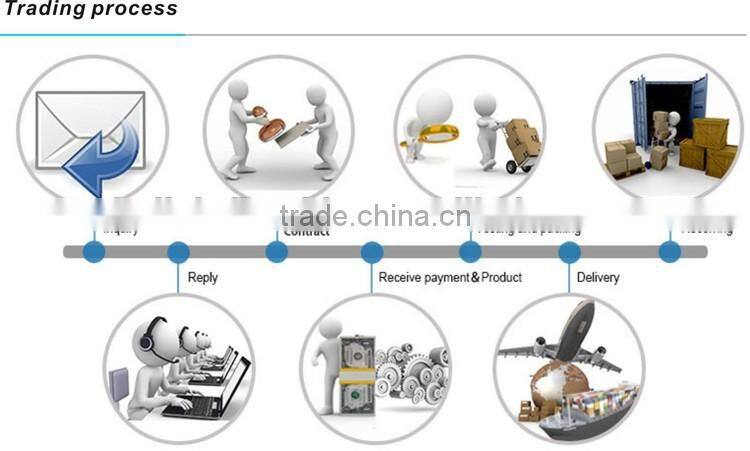 8mL Giant Dolphin Inflatable slide