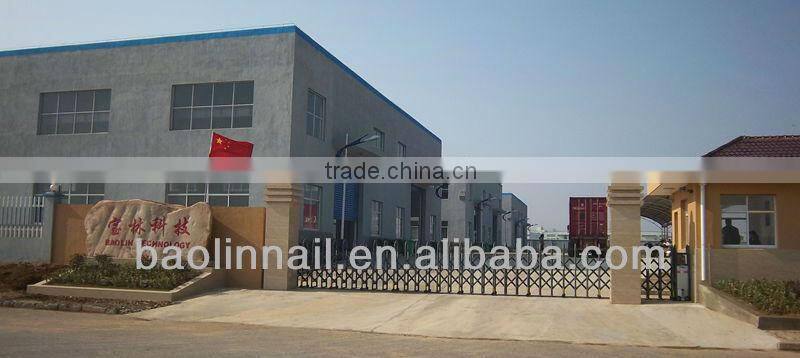 plastic/paper strip nail.paper strip nail supplier