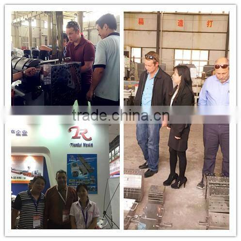 Serviceable PE Wood Plastic Column Mould