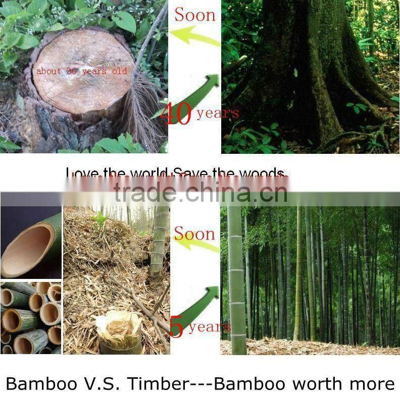 CHM Carbonized Horizontal Matt Bamboo Flooring with Locking System