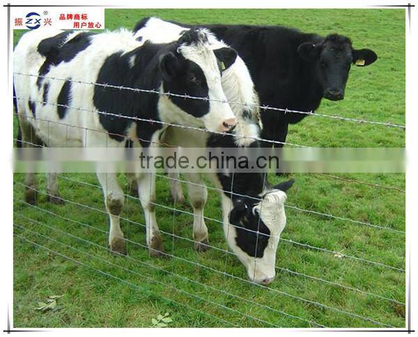 Guangzhou supplier manufacturing galvanized wire mesh roll wire horse gardening ZX-NLW002