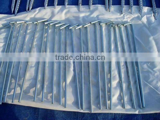 Tent Peg/Electrolytic Galvanized Pegs