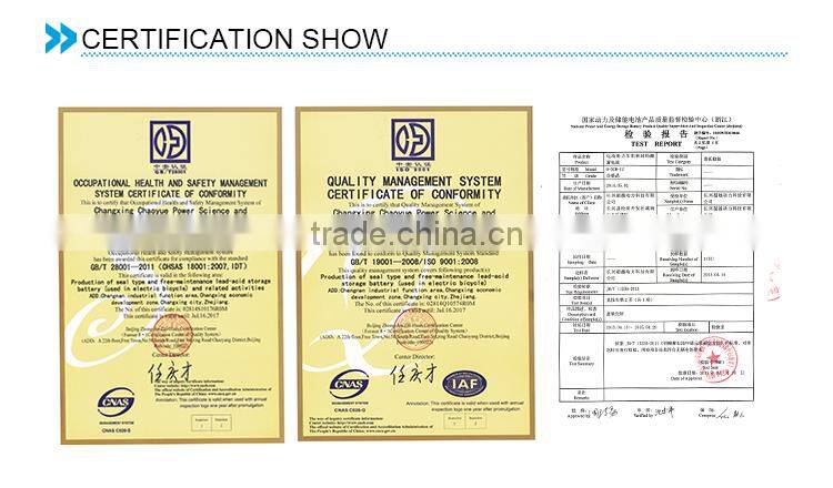 EVF Series , Lead-acid battery for Electric Vehicles, 12V 80Ah at 3hr rate