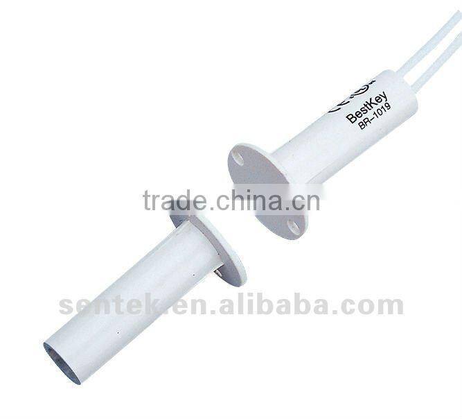 surface mounted door Magnetic Contact BR-1019