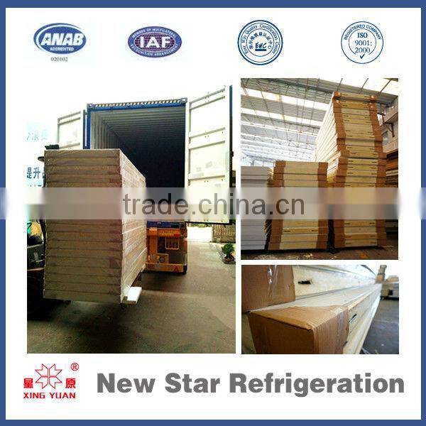 Sandwich pu panels b2 fire retadant