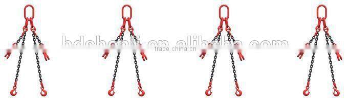 drop forged hardware alloy steel/carbon steel lifting hoist double chain