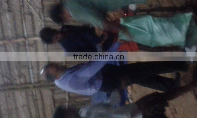 Good Quality Fully husked Dry coconut for sell