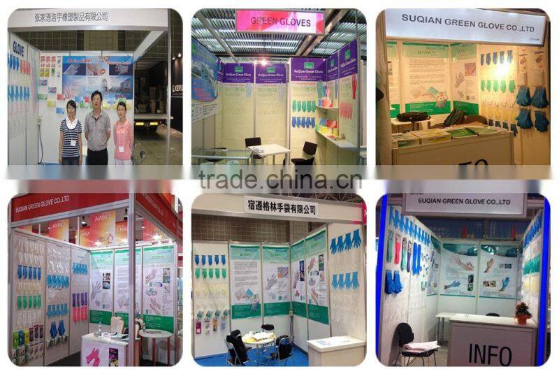 PE Disposable Clear Gloves