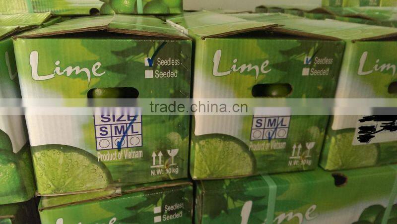 Fresh Lime Top Quality