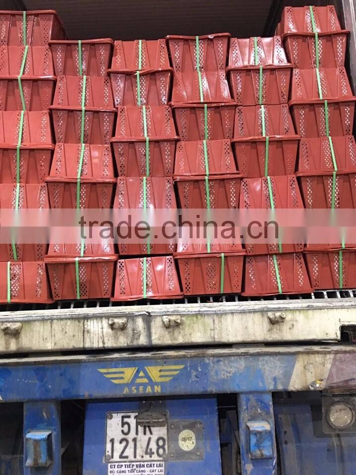 DALAT FRESH RED CHIILI