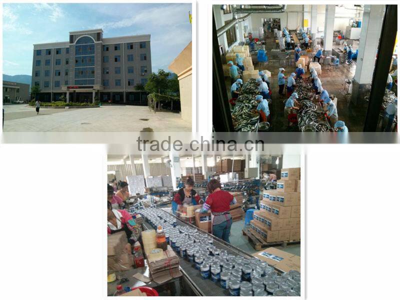 canned tuna in vietnam,tuna in jar/ in can