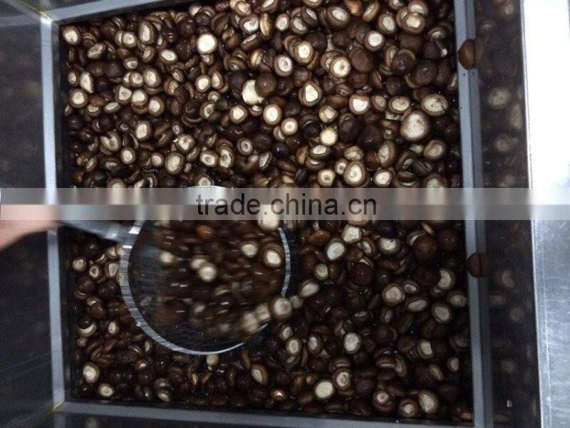 IQF shiitake mushroom