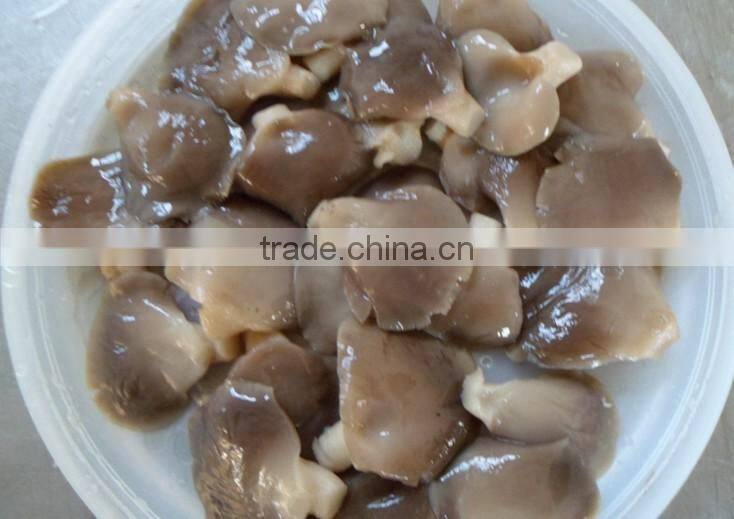 sale vegetarian oyster mushroom bottle pleurotus mushrooms dried oyster mushroom