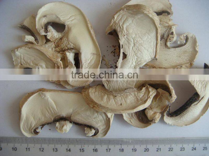 Hot new products for 2015 Mushroom made in china alibaba
