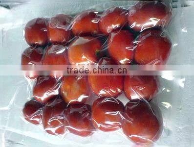 Single Chamber Automactic Vacuum Package Machine