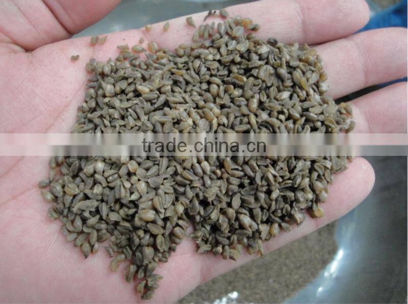 600kg/h high-efficient Buckwheat peeling machine