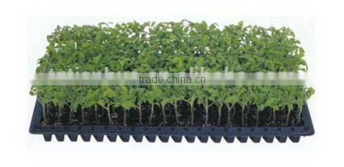 Cheap price custom hot sell hydroponic seedling rice seedling tray