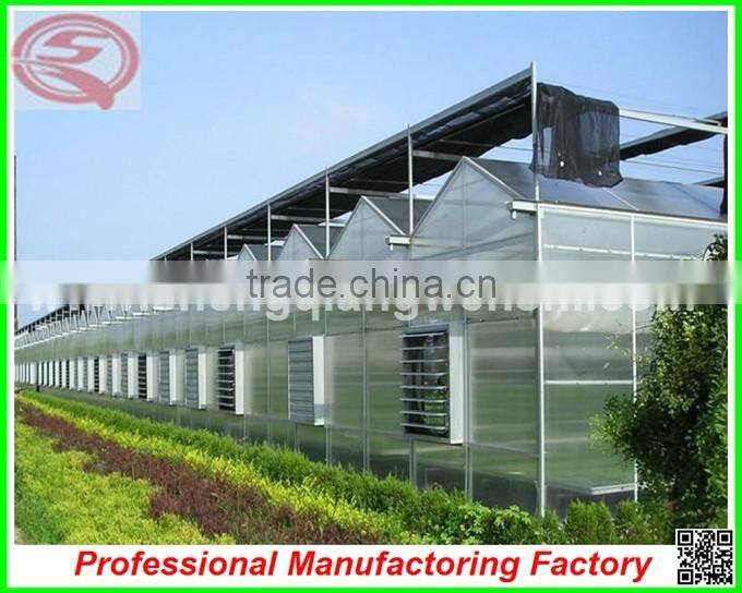 China cheapest Hot-dip galvanized steel structure greenhouses with hydroponic grow systems