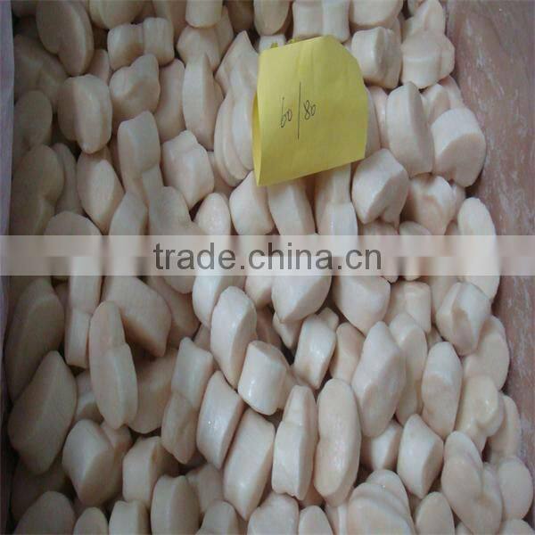 frozen sea scallops fan shell