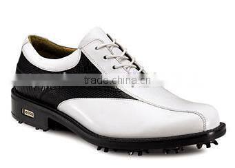 fashion stylish business golf shoes for men or women made in china jinjiang factory