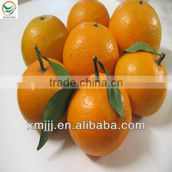 mandarin orange in price