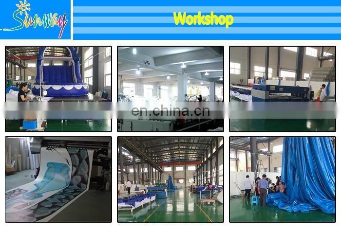 Sunway PVC Vinyl Double Lane Kids Giant Inflatable Slide for Sale