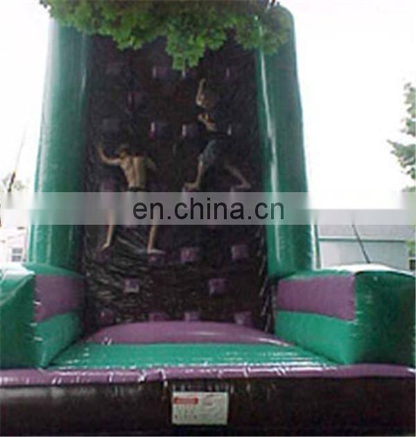 Cheap Giant Inflatable Climbing/inflatable water rock climb