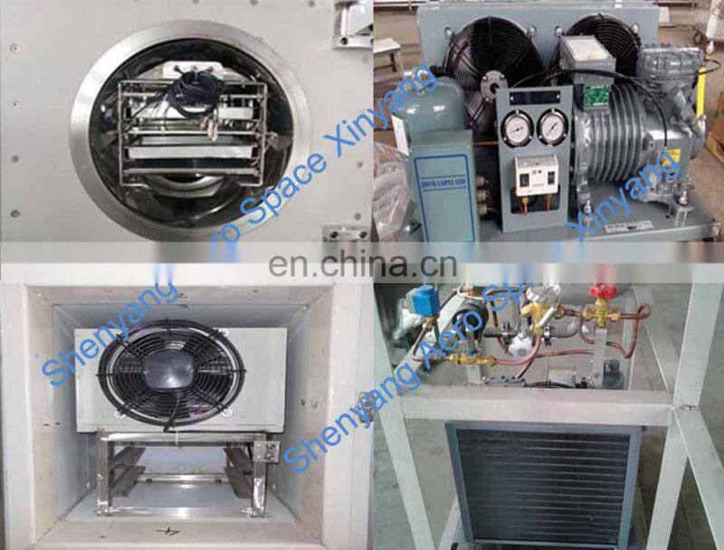 Fresh fruit lyophilizer mini machine for sale scale LG1.0