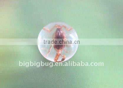 R25S01 Customizable Marble for Toy