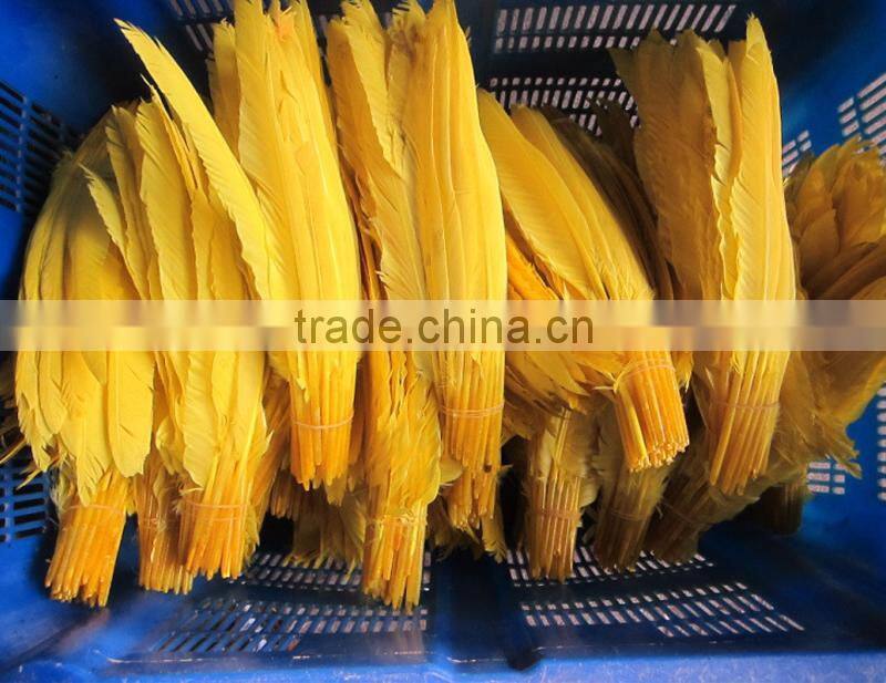 wholesale goose nagoire white goose feathers