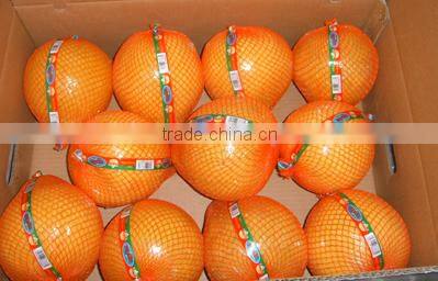 2013 new crop fresh honey pomelo