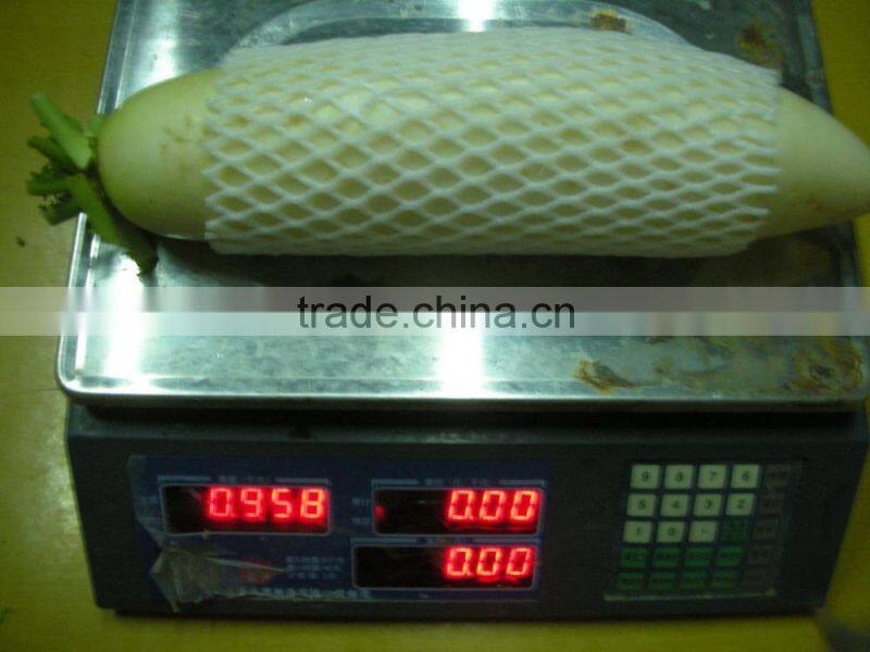 Chinese Factory fresh white radish with good price
