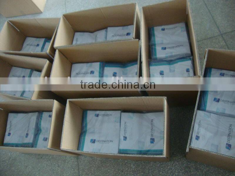 CMYK Printing PVC Ticket Holder with Two Clear Pocket