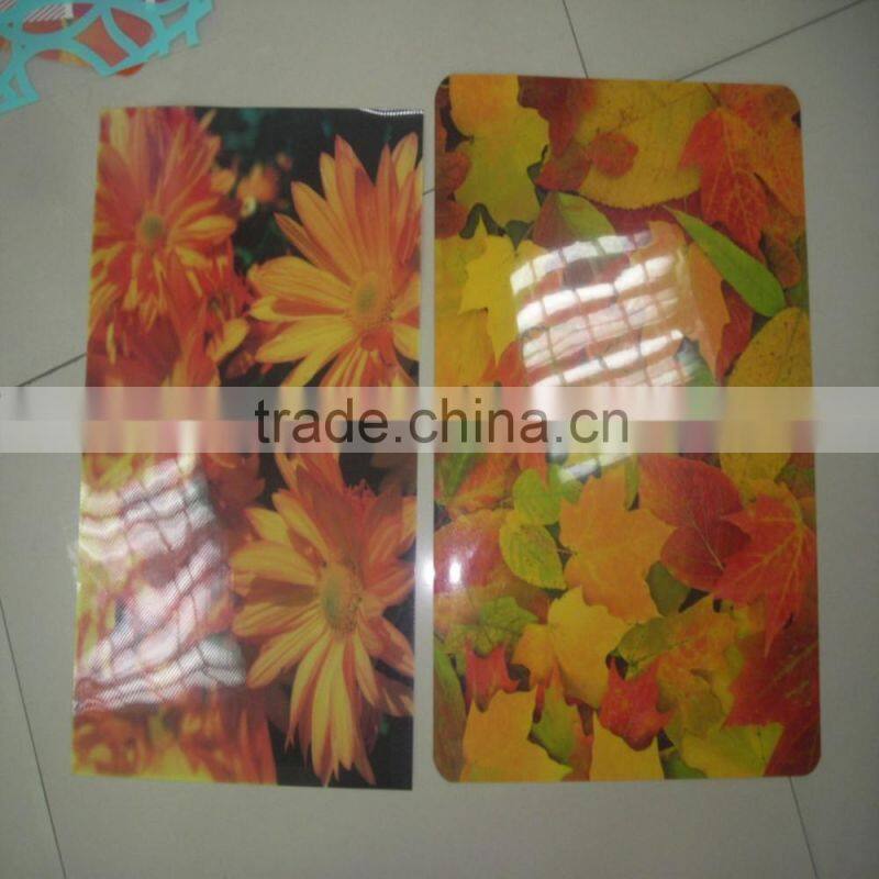 water-proof colorful printing pp placemat