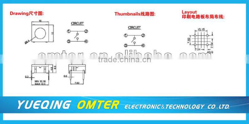 TS5-00-1B-N car light switch