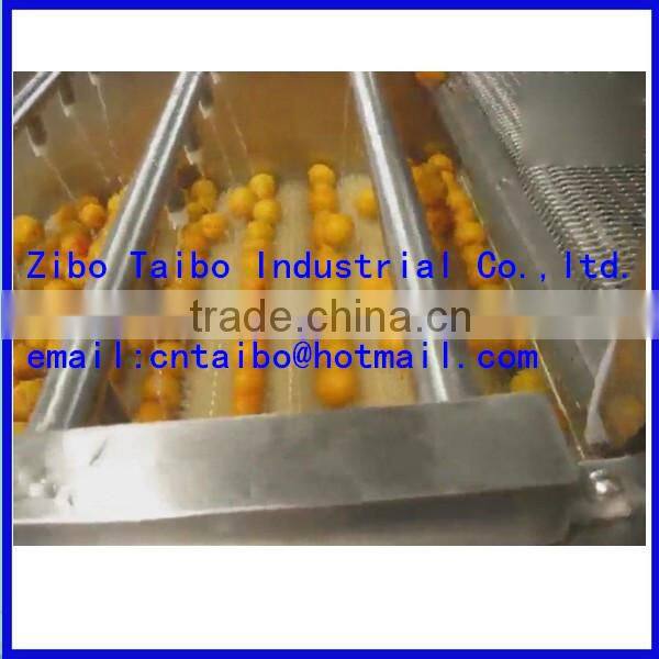 Automatic Industrial Orange Washing Machine Hot Sale