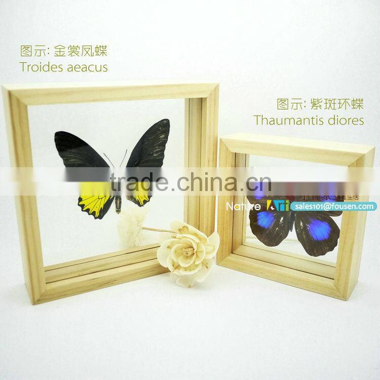 FOUSEN(011) Nature& Art natural real dried butterfly unique table frame