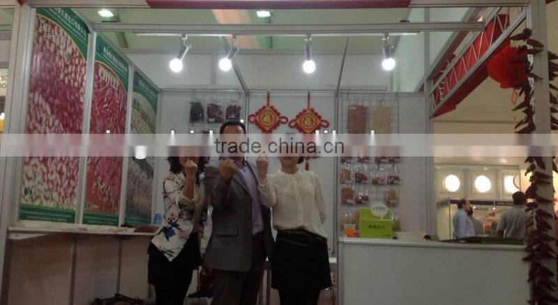 2014 new crop Pine Nuts ; Open in Shell ; Raw Pine Nuts