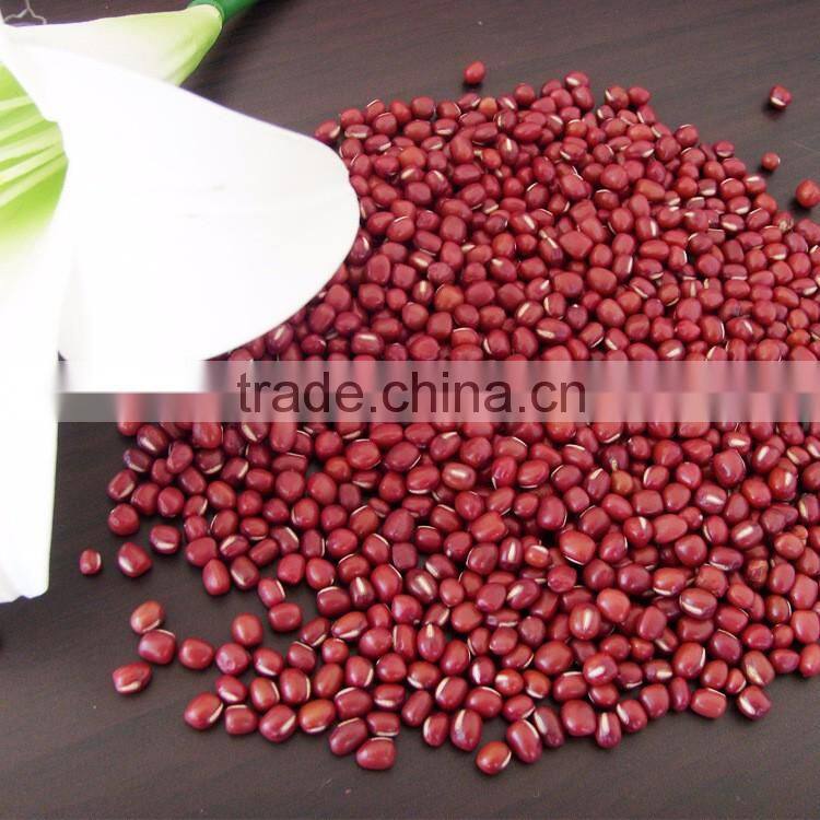 Private Label Organic Hulled Hemp Seed,Hemp Seeds,Shelled Hemp Seeds