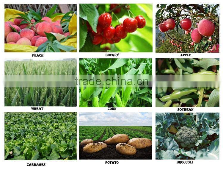 bulk fertilizer prices