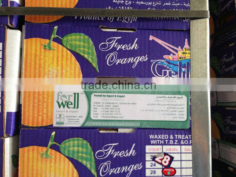 VALENCIA FRESH ORANGE FROM EGYPT
