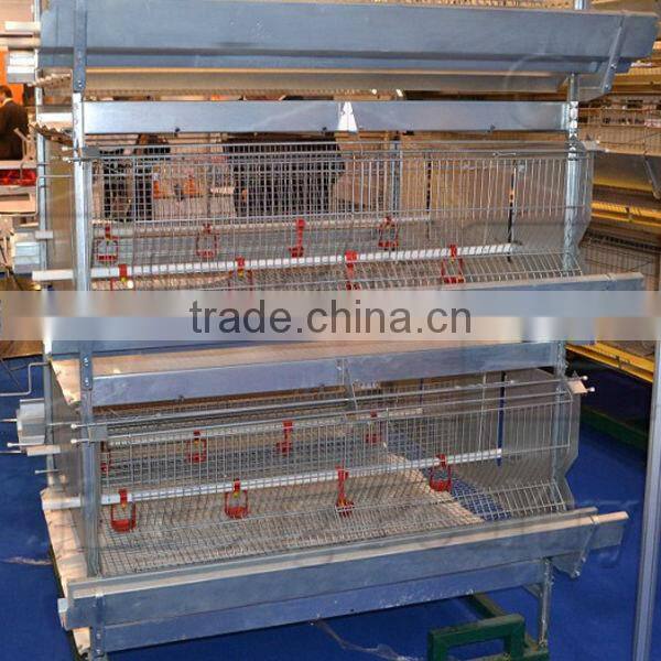 H Type Pullet Rearing Equipment 3tiers