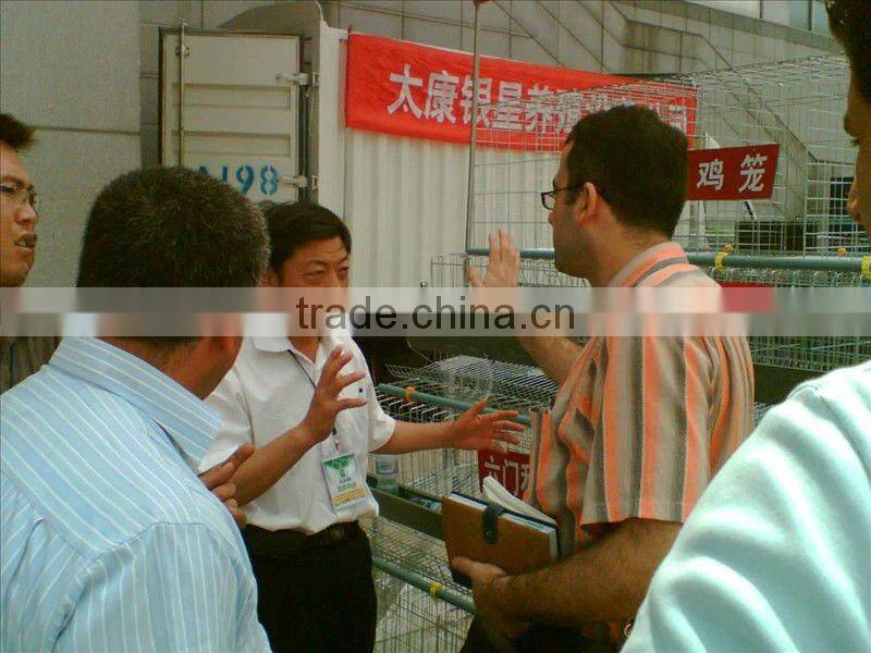 chicken cage,automatic poultry equipment,chicken layer cage