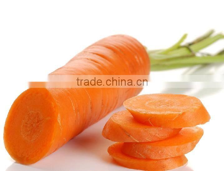 fruit onion dicer machine